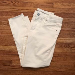 Articles of Society Katie Crop